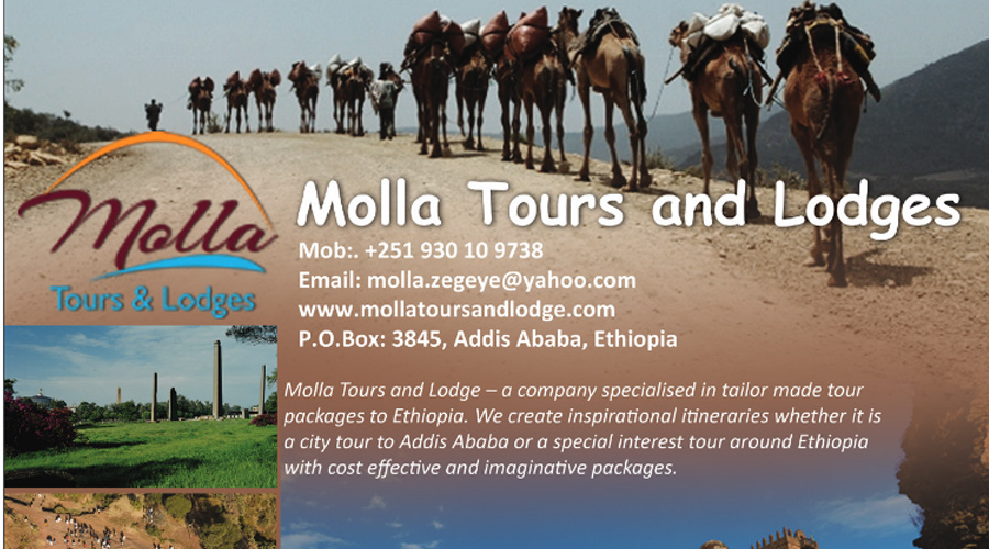 Molla-tours-and-lodges